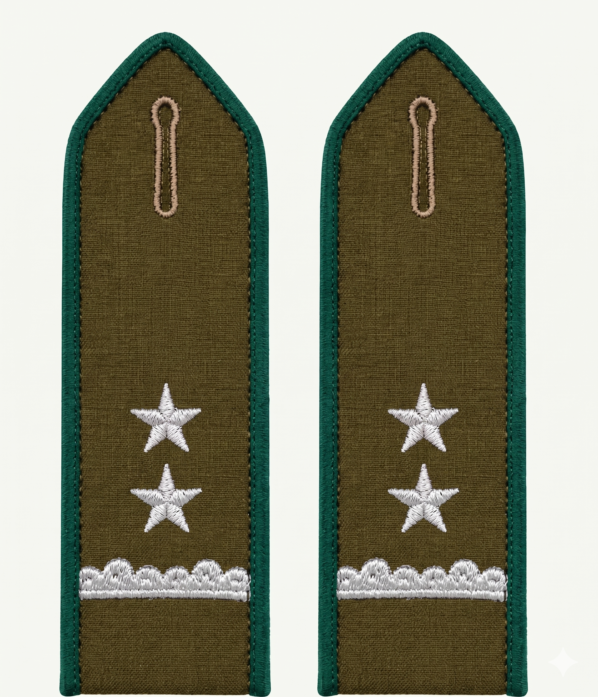 Pala Teniente Coronel Blusón Carabineros